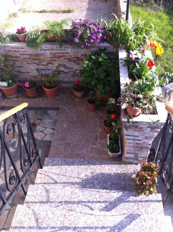 Apartment Magdic Brzac المظهر الخارجي الصورة